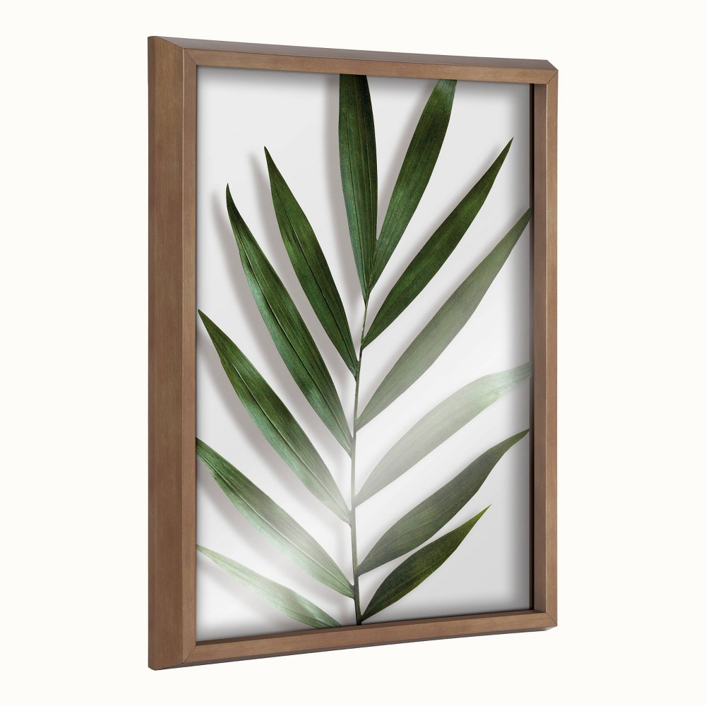 16"" x 20"" Blake Botanical 5F Framed Printed Glass by Amy Peterson Gold - Kate & Laurel All Things Decor -  86343068