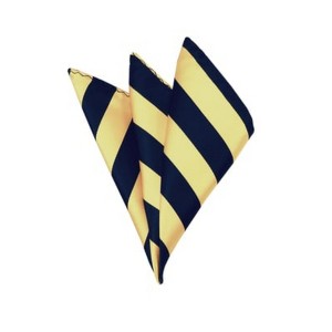 TheDapperTie - Men's College Stripes Woven 10 Inch x 10 Inch Pocket Squares Handkerchief - 1 of 3