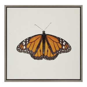Kate and Laurel Sylvie Monarch Butterfly Framed Canvas by Robert Cadloff of Bomobob, 22x22, Gray - 1 of 4