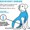 Shed Defender Original Dog Onesie - Contains Shedding, Reduces Anxiety,  Post-surgery Recovery Suit : Target