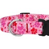 Country Brook Petz Deluxe Dog Collar - Affection Collection - 4 of 4