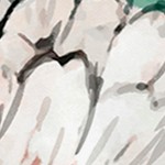 luster gray