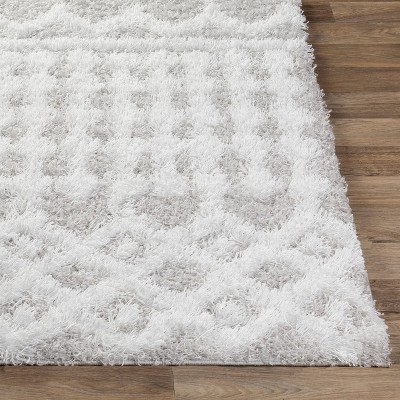 Gray and White Rectangular Shag Rug with Global Pattern