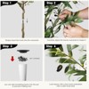2 Pack 5ft Artificial Olive Trees with Fruits and White Planters – Faux Indoor Tall Greenery for Home Decor - 4 of 4