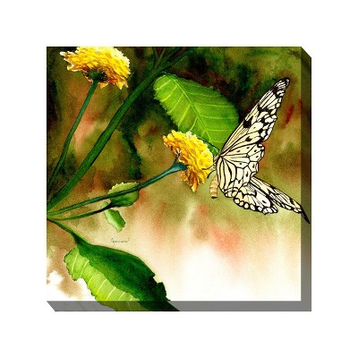Cottage Garden West of The Wind Butterfly KISS Green, Yellow, Black 24 x 24 Inch Waterproof Gallery Wrapped Canvas, Outdoor Garden, Yard, Patio All