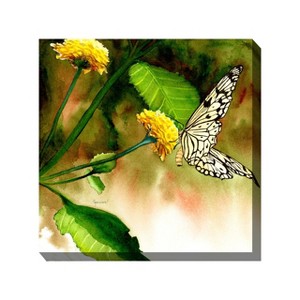 Cottage Garden West of The Wind Butterfly KISS Green, Yellow, Black 24 x 24 Inch Waterproof Gallery Wrapped Canvas, Outdoor Garden, Yard, Patio All - 1 of 2