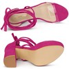 Allegra K Women's Open Toe Lace Up Clear Strap Platform Chunky Heels Sandals - 4 of 4