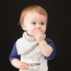 Pavilion Gift Company - Gray Drool Monster - Reversible Handkerchief bib - Bibs - 2 of 4