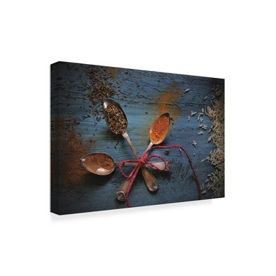 Trademark Fine Art -Christine Sainte-Laudy 'Spices' Canvas Art