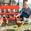 Chicken Nesting Boxes, Chicken Egg Laying Box with Chicken Perch, Roll Away Nest Box for Chicken Coop Hens Poultry - 3 of 4