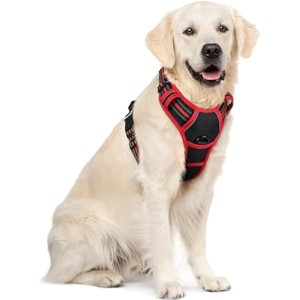 rabbitgoo Dog Harness No Pull with 2 Leash Clips, Control Handle for Large Dogs, Black & Red, XL - 1 of 1