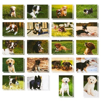 Best Paper Greetings 40 Pack Assorted Puppy Dog Blank Postcards Greeting Post Cards All Occasions Bulk Set 4x6 in