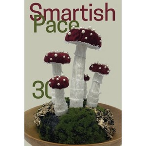 Smartish Pace - by  Stephen Reichert (Paperback) - 1 of 1