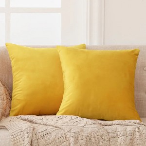 Deconovo Home Velvet Soft Decorative Pillow Covers Invisible Zipper Cushion Cover, 2-Pack - 1 of 4
