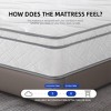 CENGHU Queen Size Mattress,12" Hybrid Mattress in a Box with Gel Memory Foam for Breathable and Durable Support, CertiPUR-US Certified - 4 of 4