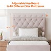 Twin Size Velvet Platform Bed with Trundle Bed Headboard and Adjustable Button Tufted Headboard, No Box Spring Needed-ModernLuxe - 3 of 4