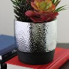 Northlight 15" Succulents and Agave Artificial Potted Plant - Green/Red - 3 of 4