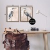 Stupell Industries Beautiful Heron Birds Standing Watercolor, 17" x 21" - 3 of 4