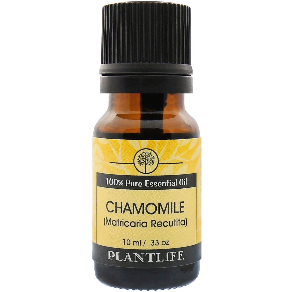 Plantlife Chamomile Aromatherapy Essential Oil – 100% Pure, Therapeutic Grade, No Additives or Fillers, 10 ml