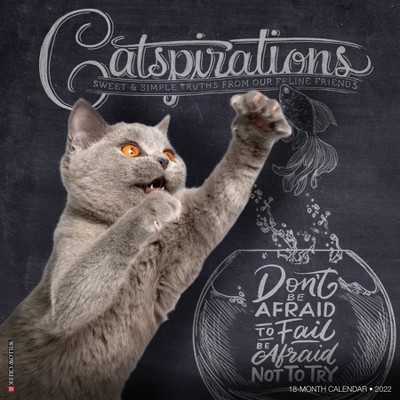 2022 Wall Calendar Catspirations - Willow Creek Press
