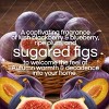 Air Wick Vibrant Scented Oil Air Freshener Refills - Sugarplum & Fig - 1.34 fl oz/2pk - 4 of 4