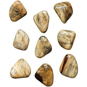 Uttermost Blonde Decorative Wood Wall Decor Set of 9 - 1 of 1
