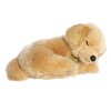 Aurora Medium Sleepy Golden Retriever Pup Miyoni Tots Adorable Stuffed Animal 10" - 3 of 4