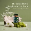Gaia Herbs Kava Root - Helps Sustain a Sense of Natural Calm and Relaxation During Times of Stress - 60 Vegan Liquid Phyto-Capsules - 3 of 4