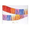 Meri Meri Bright Fringe Garland (11.5' with excess cord - Pack of 1) - 4 of 4