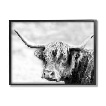Stupell Industries Bold Country Cattle Black White Photography Wild Animal