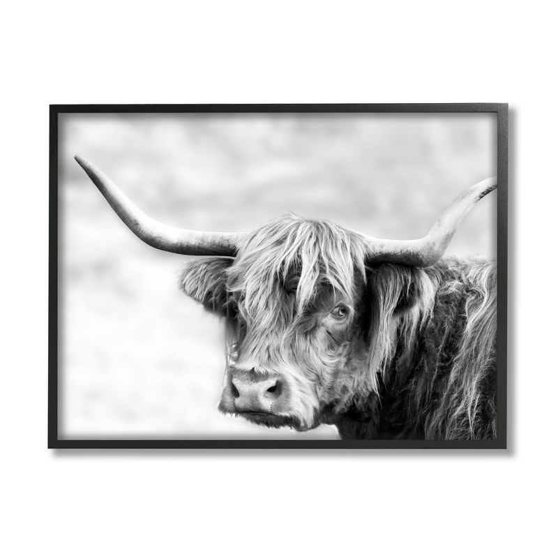 Stupell Industries Bold Country Cattle Black White Photography Wild Animal, 1 of 7
