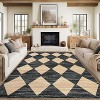 Area Rug Non-Slip Soft Ultra-Thin Carpet Stain Resistant Accent Rug for Living Room Bedroom Dining Room Office Nursery Playroom - 2 of 4