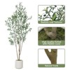 LOVMOR Olive Trees Artificial Indoor with Tall Pot, Natural Wood Trunk Treemote and Leaves, Fake Plant for Home Office Bedroom Decor 6FT 7FT 8FT - 4 of 4