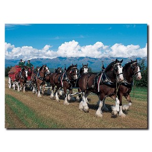 Trademark Fine Art - Clydesdales in Blue Sky Mountains Canvas Art - 1 of 1