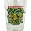 Teenage Mutant Ninja Turtles Leonardo Donatello Raphael Michelangelo 16oz Pint Drinking Glass Clear - 2 of 4