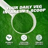 EHPlabs OxyGreens Super Greens Powder - Spirulina & Chlorella Superfood, Green Juice Powder & Greens Supplements, 30 Serves (Strawberry Margarita) - image 4 of 4