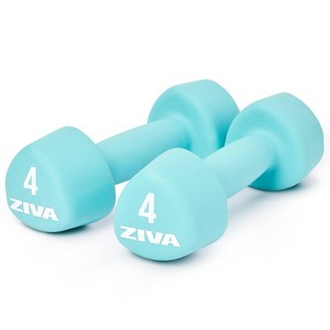 ZIVA Vinyl Tribell 2pc - 1 of 4
