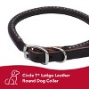 Circle T by Coastal Pet - Latigo Leather Twist Dog Leash with Brass Hardware (6') & Latigo Leather Round Dog Collar (3/8" x 18") - 2 of 3
