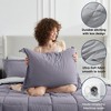BAGOKIE 5/7 PCS Bed in a Bag Reversible Bedding Set with Comforter, Sheets, Pillow Sham, Pillowcase - 2 of 4