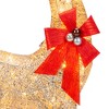 Best Choice Products 5ft Pre-Lit Reindeer Yard Christmas Decoration, Gold Holiday Deer w/ 150 Lights, Stakes, Zip Ties - 4 of 4