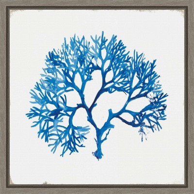 Blue Coral I Canvas Print with Gray Frame, 16 x 16-in