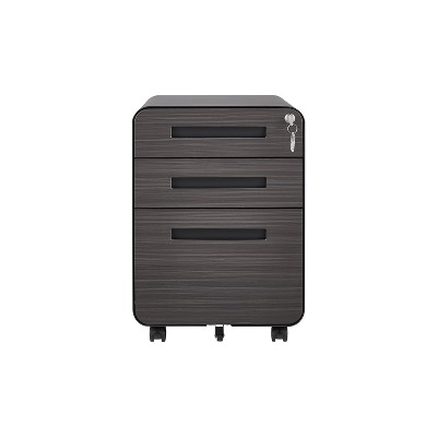 Ridstar 22.83 in. H Black Multifunctional Decorative Storage Cabinet with Three Drawers