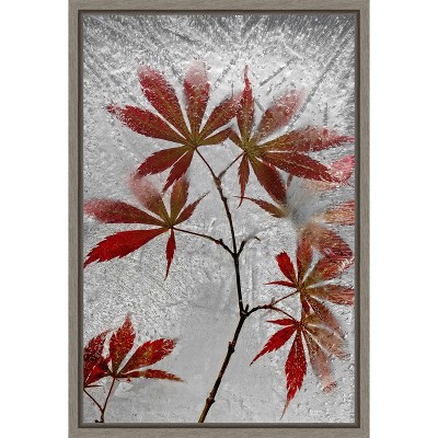 Amanti Art red maple by Secundino Losada Canvas Wall Art Print Framed 16-in. x 23-in.