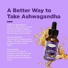 Organic Ashwagandha Liquid Drops for Adults, Potent Liquid Ashwagandha Root Extract for Energy and Mood Support, Phytoral, 120 servings - 2 of 4