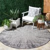 Courtyard Dokupa CY8893 UV & Stain Resistant Non-Shedding Power Loomed Indoor/Outdoor Rugs - Safavieh - 2 of 4
