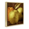 Stupell Industries Vintage Apples Close Up Floating Frame Canvas Art - 2 of 4