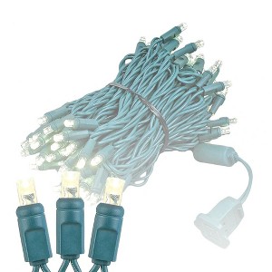 Novelty Lights LED Christmas String Lights Light Set 100 Mini Bulbs  (Green Wire, 34 Feet) - 1 of 4