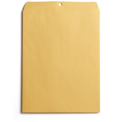 Staples Clasp Envelope 9"L x 12" H Brown 100/Pack BL58390