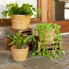 Juvale 3 Piece Seagrass Planter Pots Set with Plastic Lining, 3 Woven Baskets for Indoor & Outdoor Plants, 3 Sizes - 2 of 4