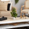 Nearly Natural 16-in Peperomia Artificial Plant in Decorative Planter - 4 of 4